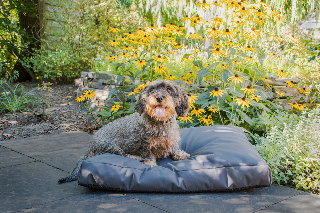 Let's Sleep Cushy Cloud Outdoor Hundebett L Anthrazit