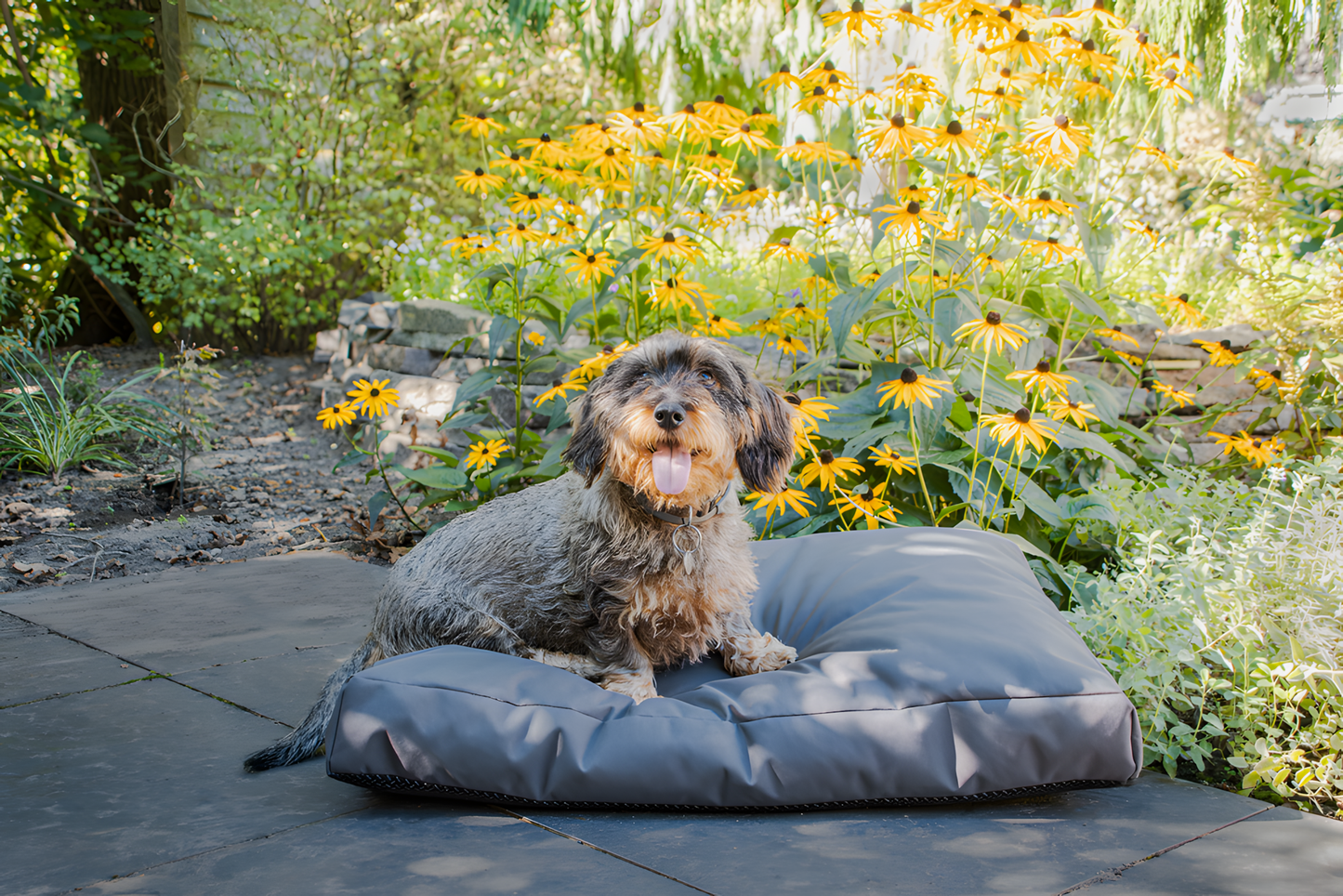 Let's Sleep Cushy Cloud Outdoor Hundebett L Anthrazit by Hoffreund