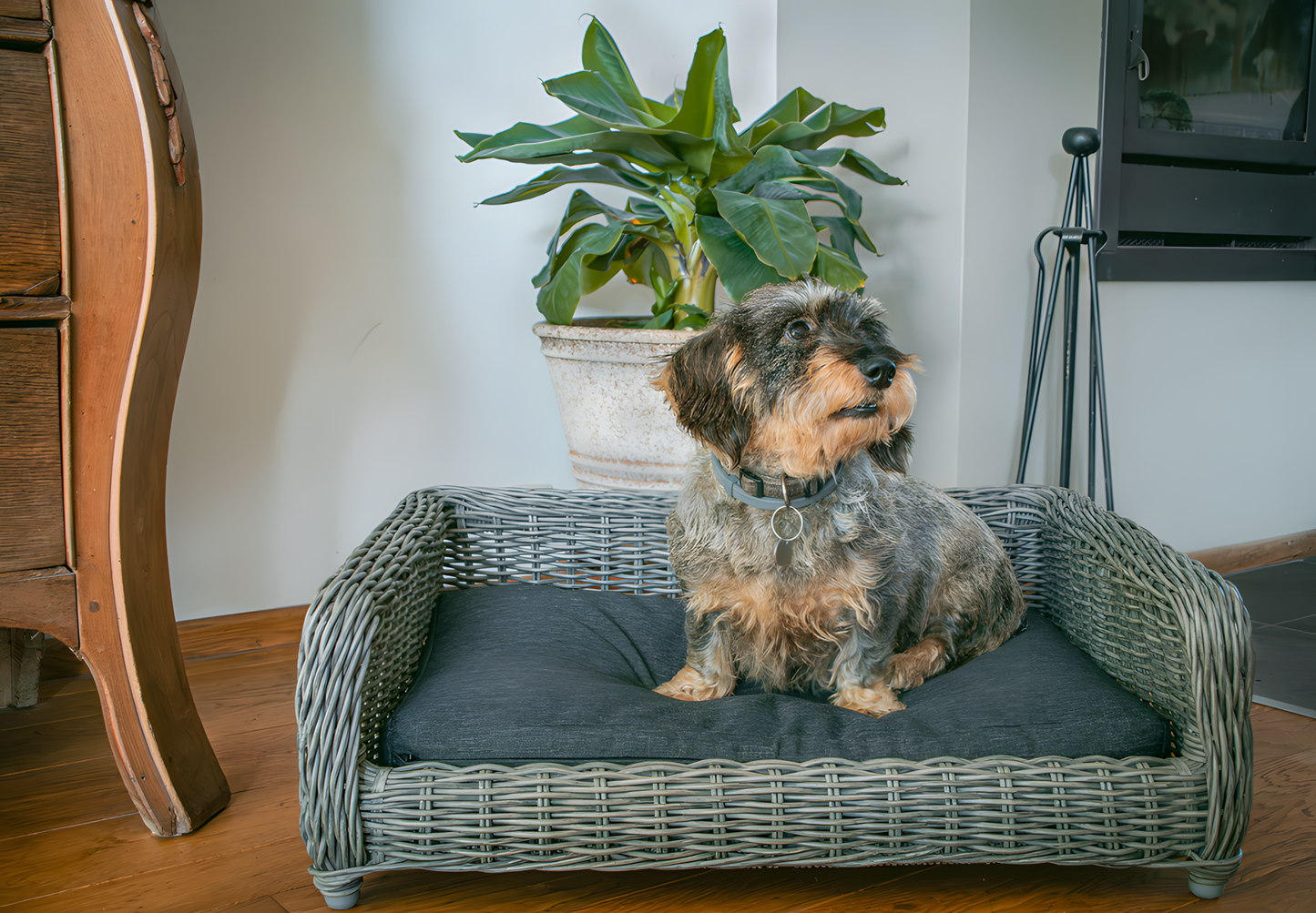 Let's Sleep Cozy Basket Weidenkorb Für Hunde M Anthrazit by Hoffreund