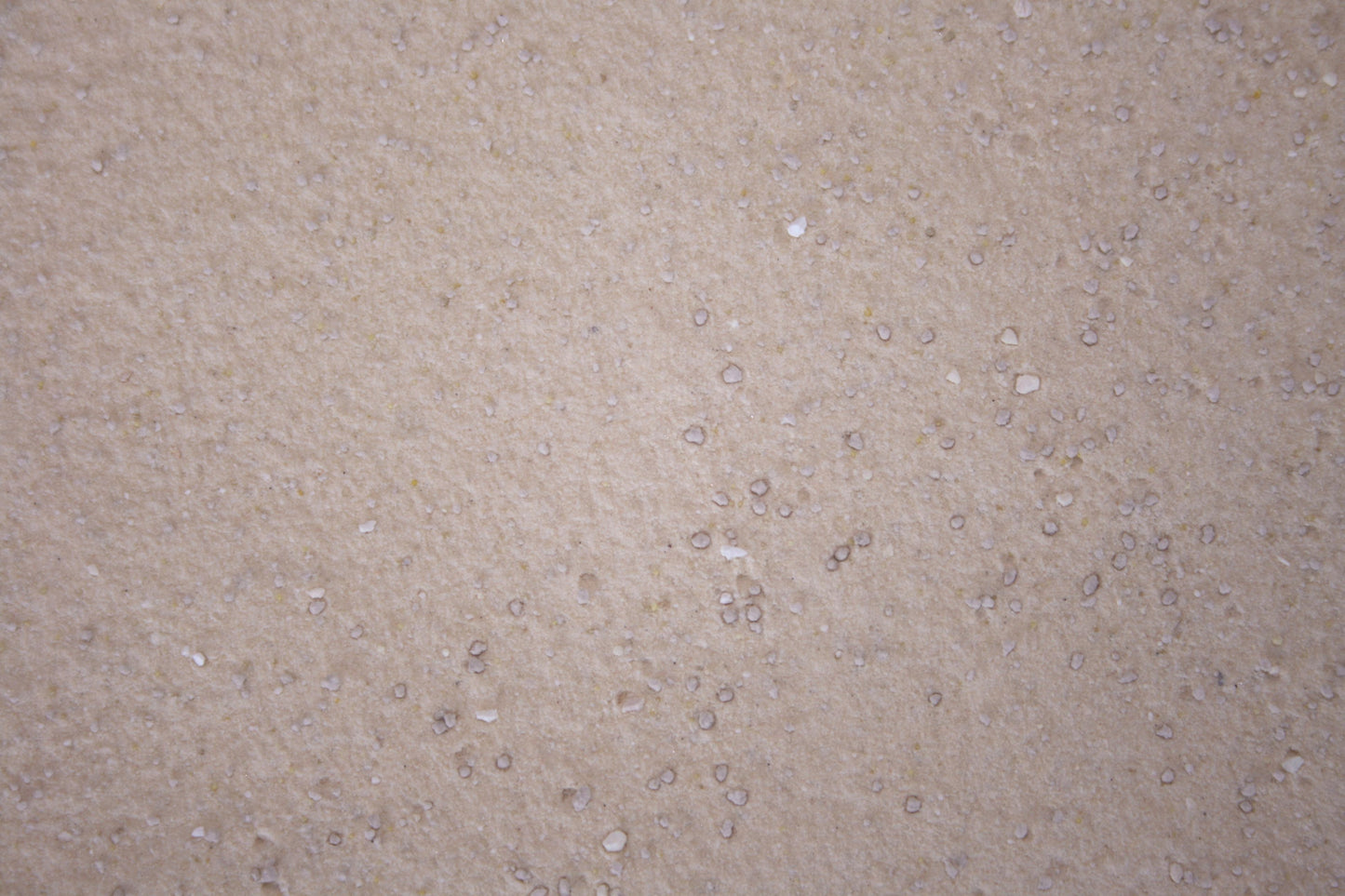 Excellent Licosan Forte (alle Tierarten) 1 kg