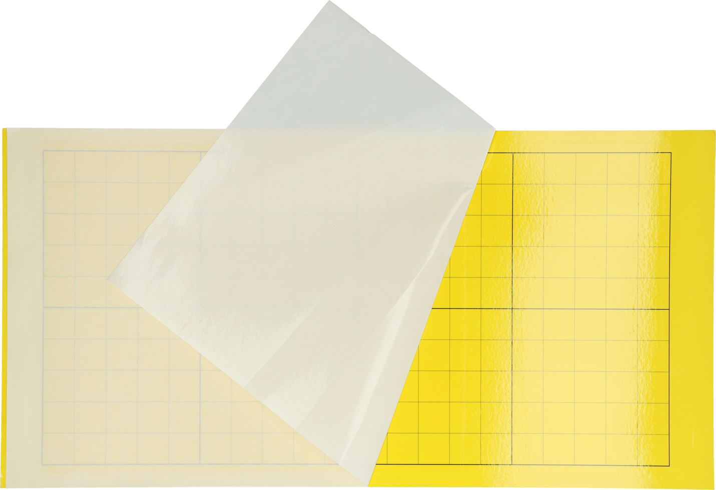 Insectron Klebeplatte 200/300 6 Stück