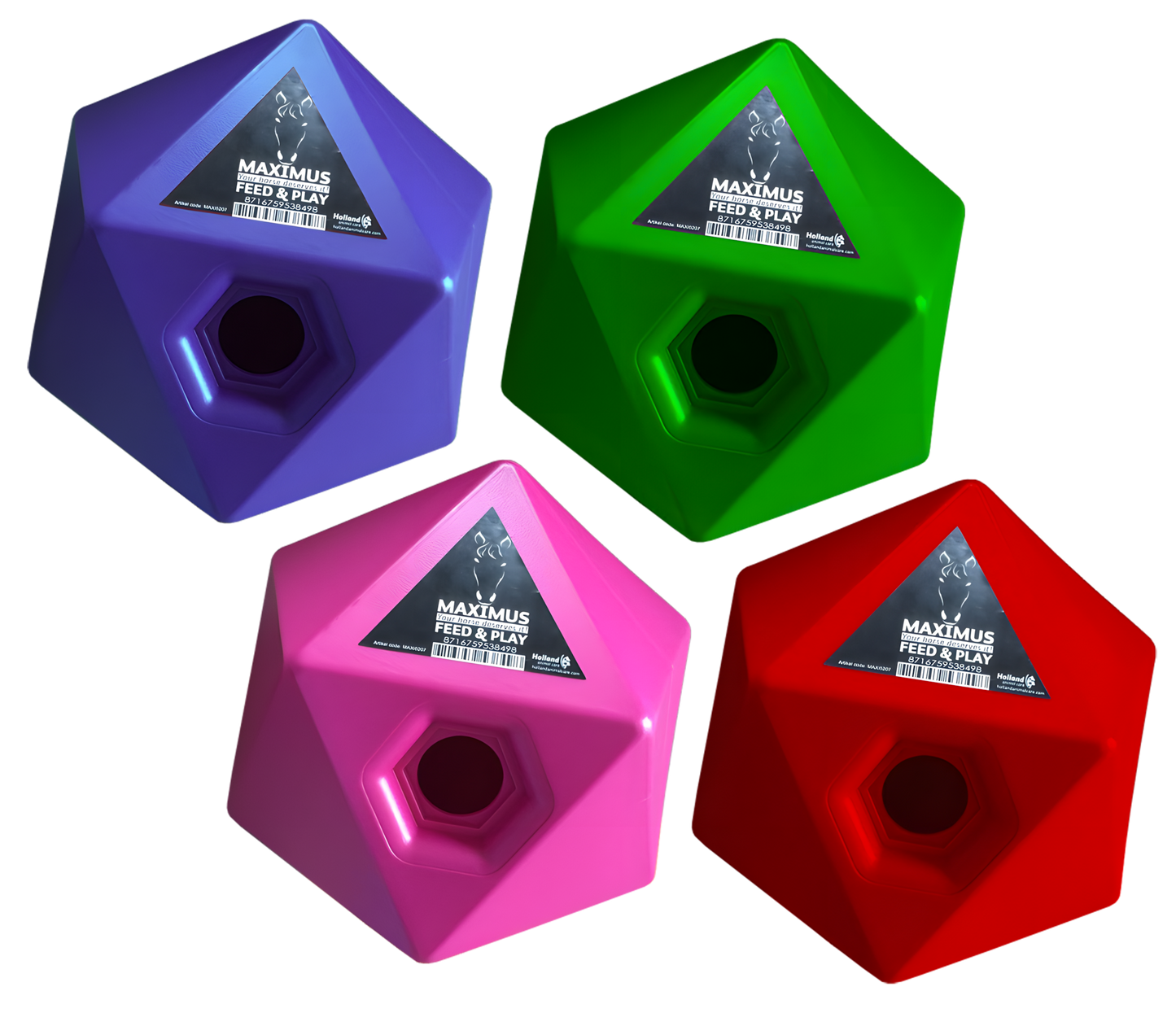 Maximus Feed & Play Rot