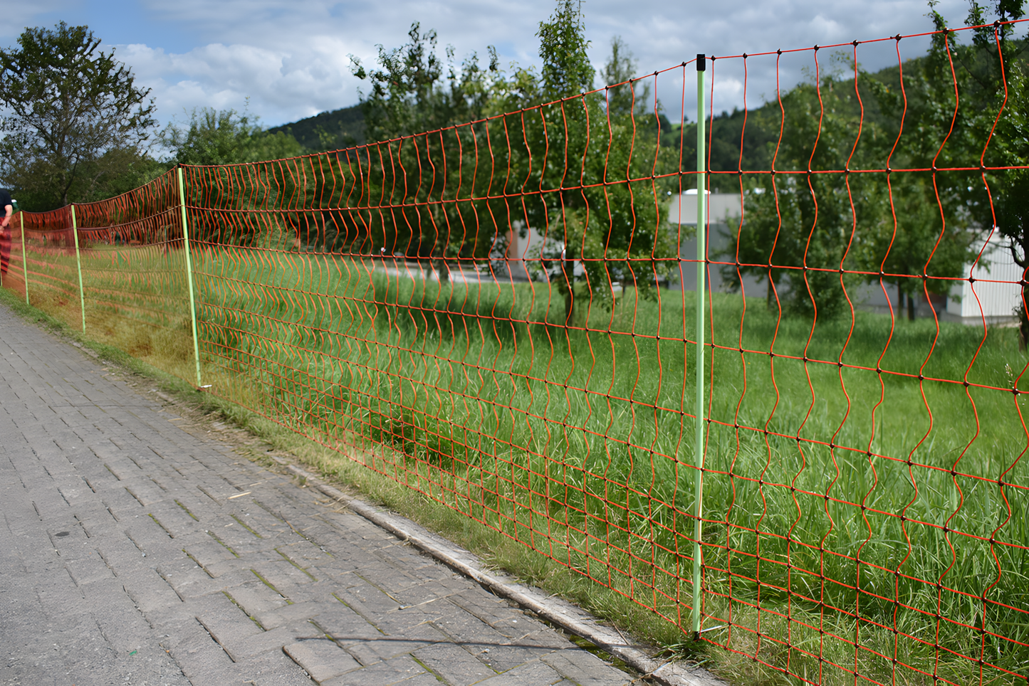 Euro-Netz Combi Pluimvee 112 cm dubbelpunt