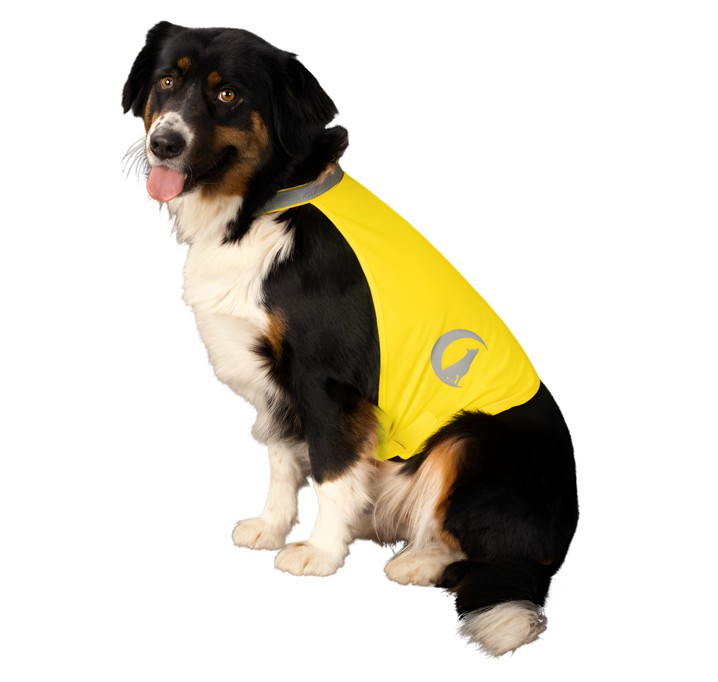 Nightwalk Safety Vest Gelb S by Hoffreund