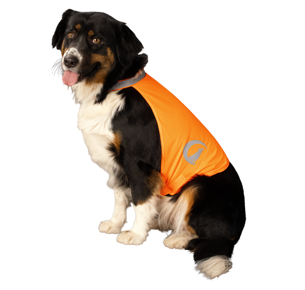 Nightwalk Safety Vest Orange S