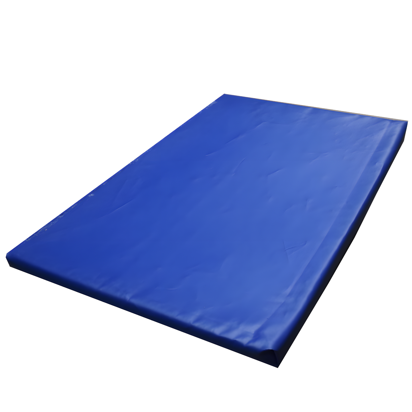 Desinfektionsmatte 90x60x4 cm