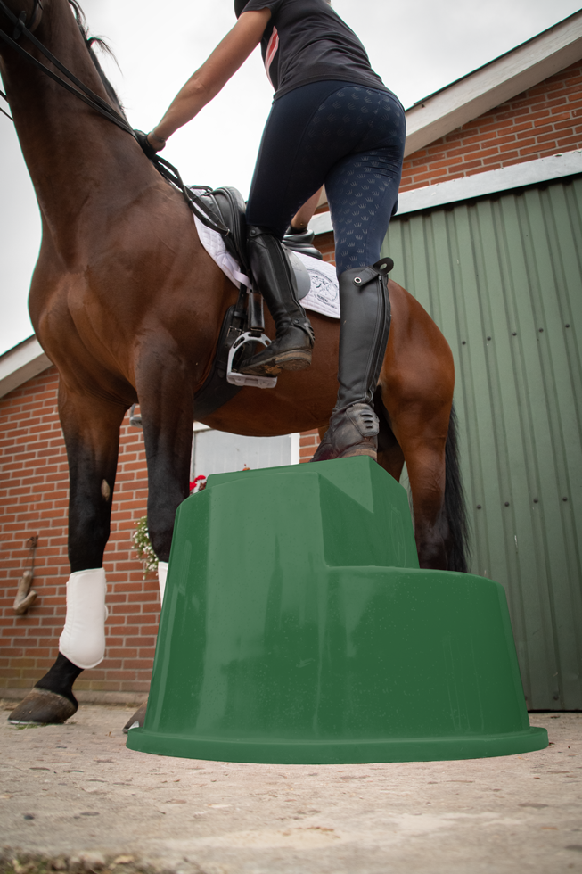 Excellent Horse Aufstiegshilfe 3 Stufen Grün