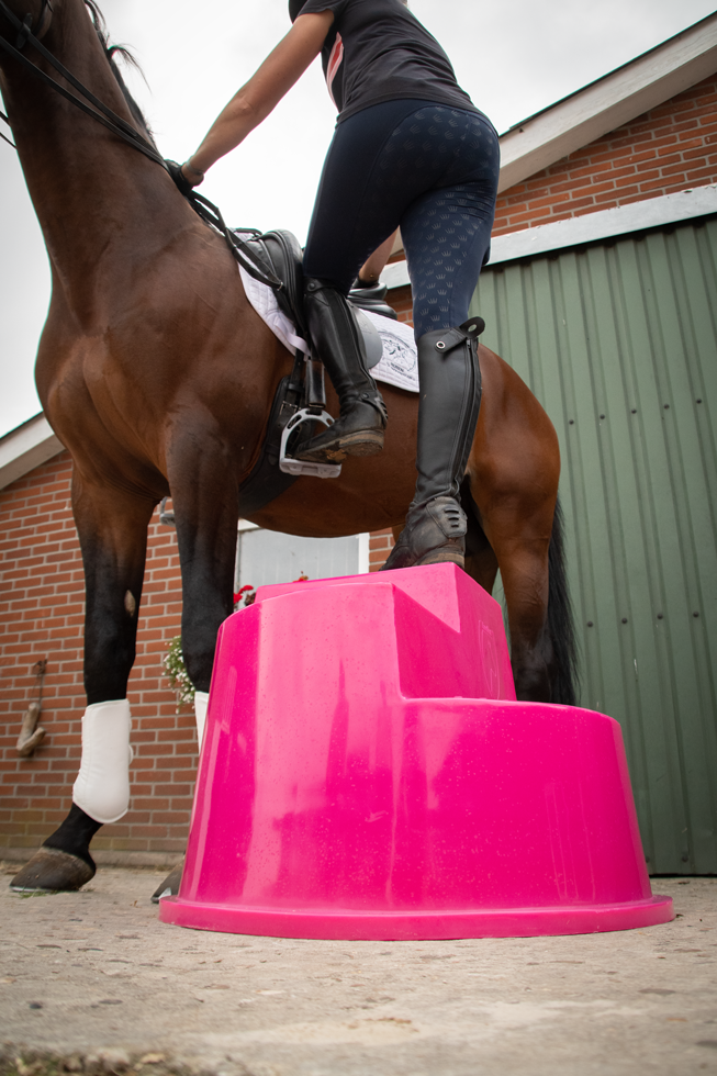 Excellent Horse Aufstiegshilfe 3 Stufen Rosa