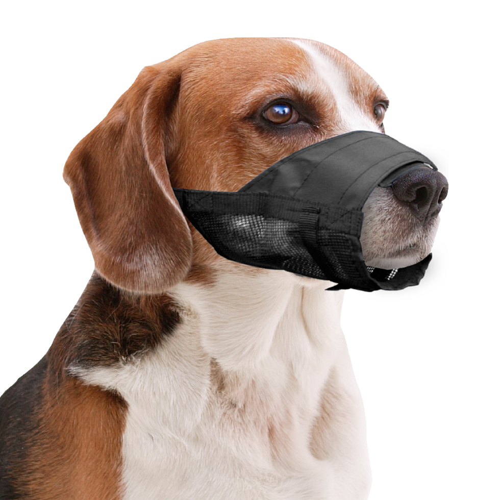 Pawise Adjustable Nylon Muzzle S
