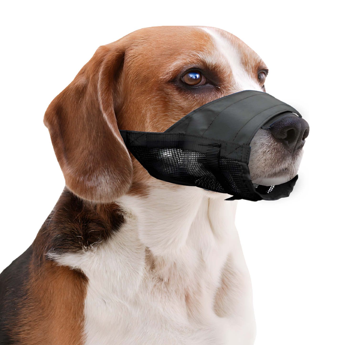 Pawise Adjustable Nylon Muzzle S by Hoffreund