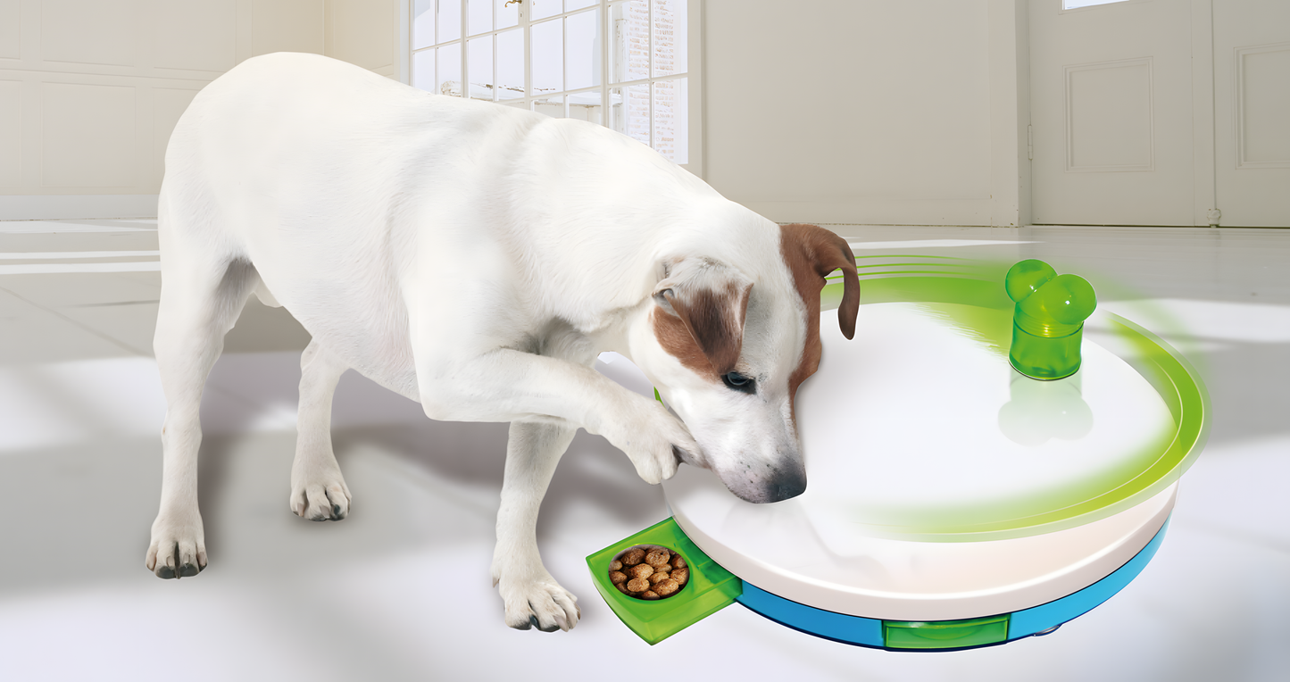 Pawise Dog training toy - Level 2 Spinning Feeder by Hoffreund