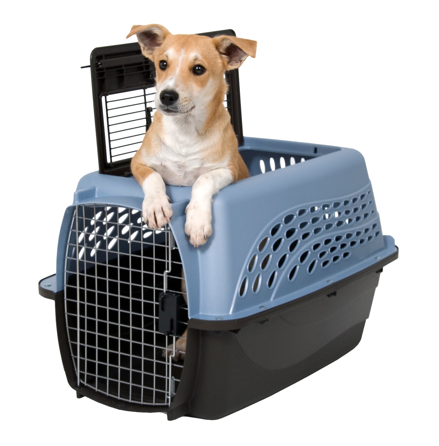 Petmate 2 Door Kennel Blau S