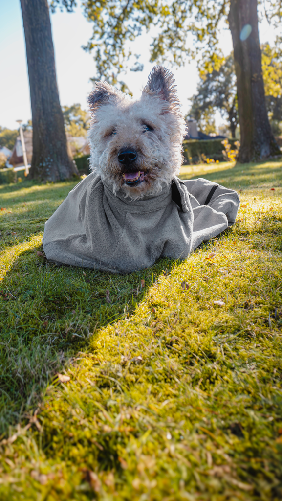 Royal Dry Doggy Bag Trockenbeutel M