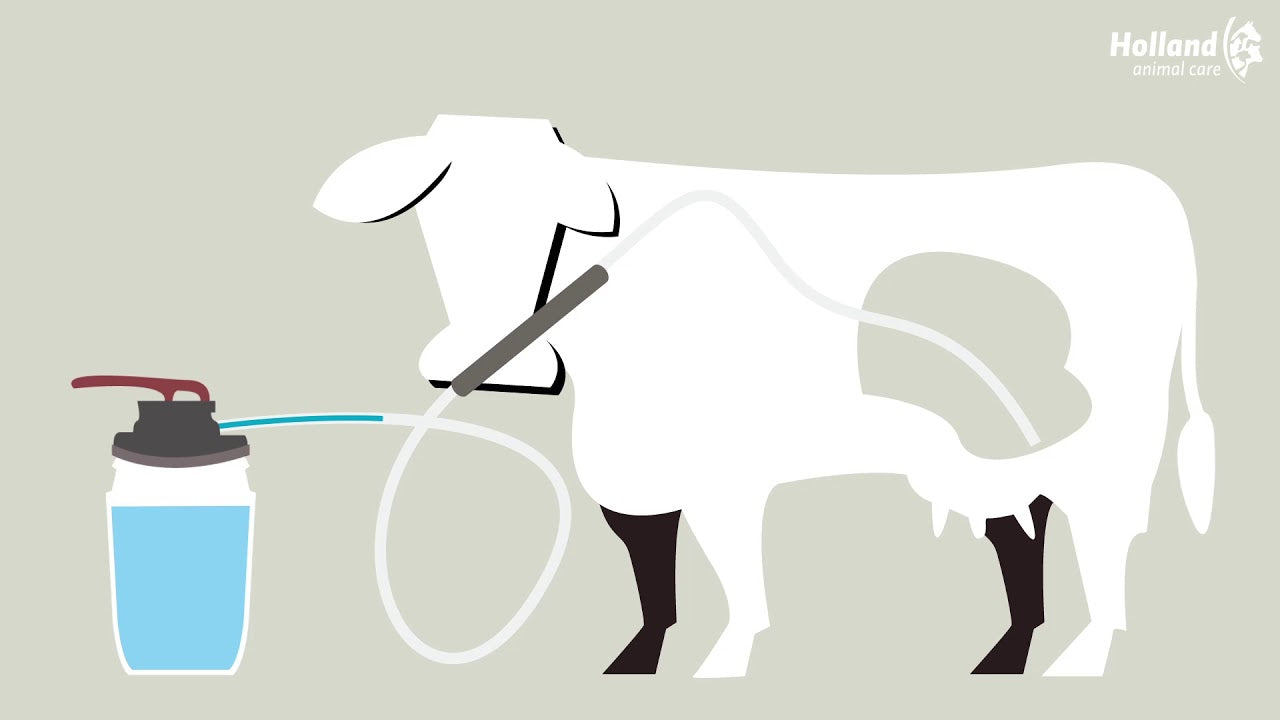 Excellent Cow Drencher