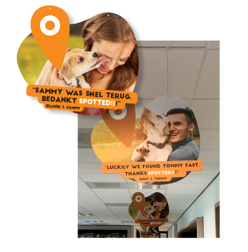 Package deal Spotted Pro! Original