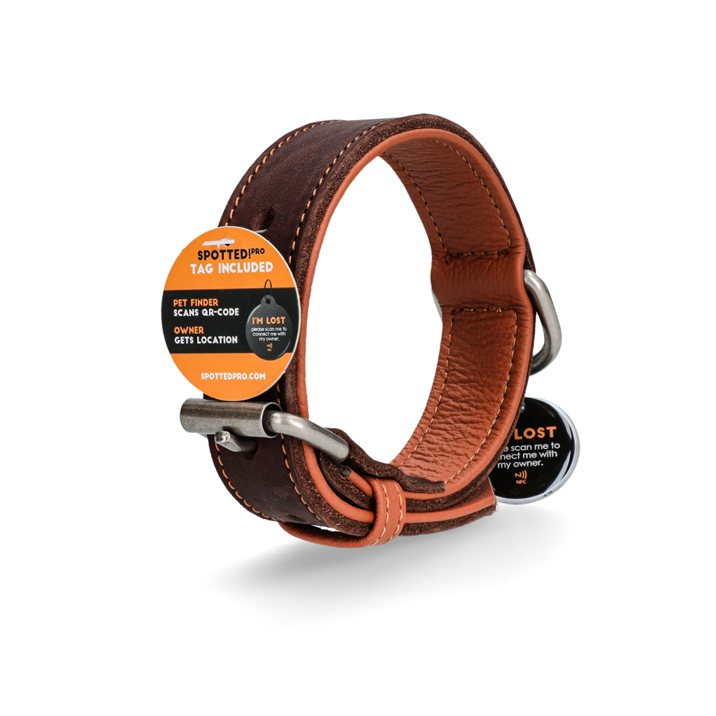 Spotted! Pro Lederhalsband Braun 3 x 65 cm