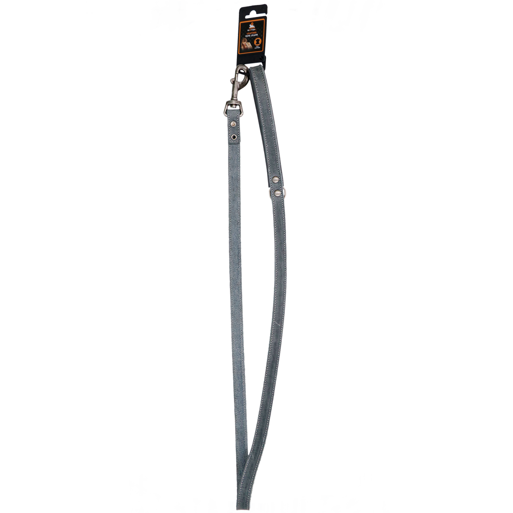 Spotted! Pro Leder Hundeleine Grau