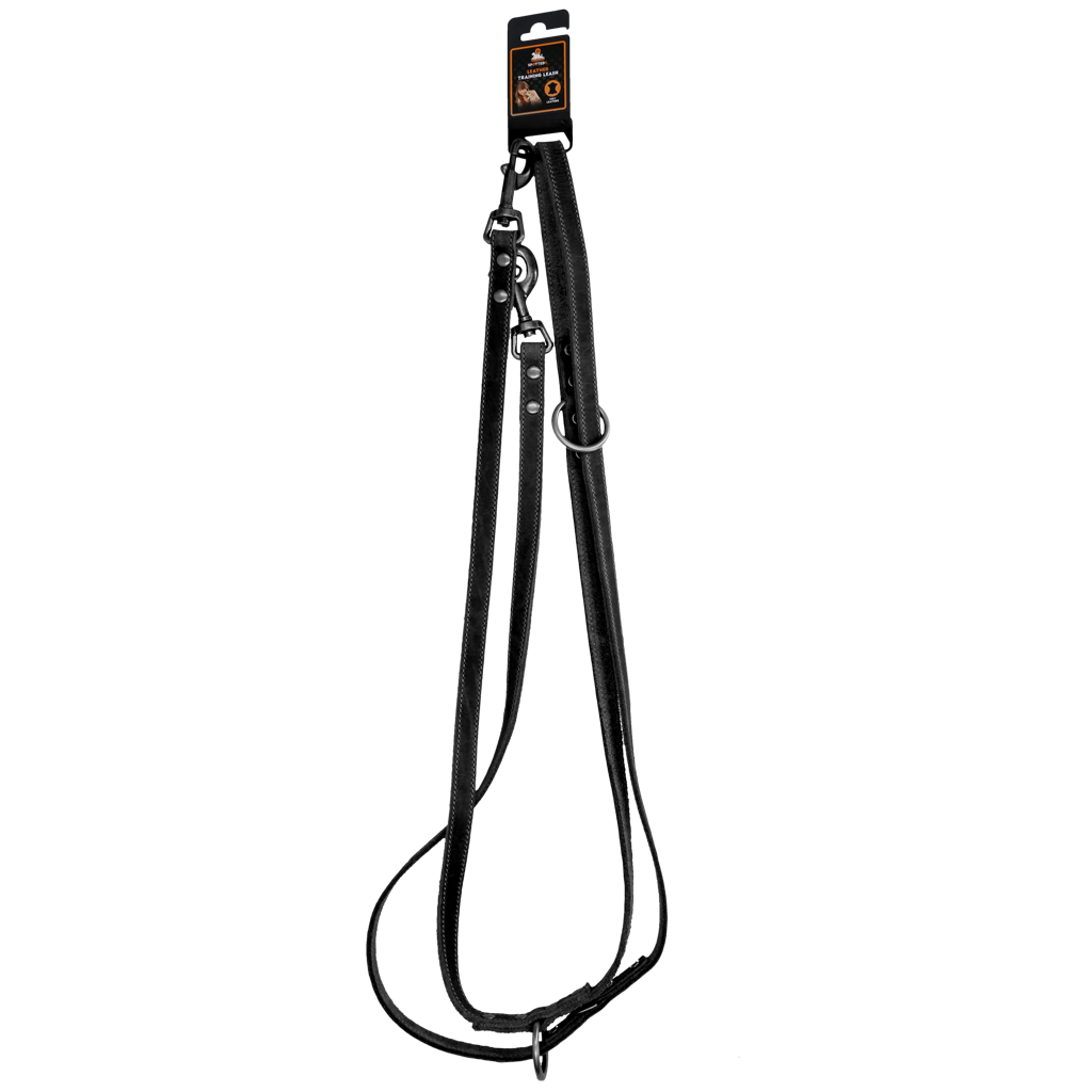 Spotted! Pro Leder Trainingsleine Schwarz 1,6 x 250 cm