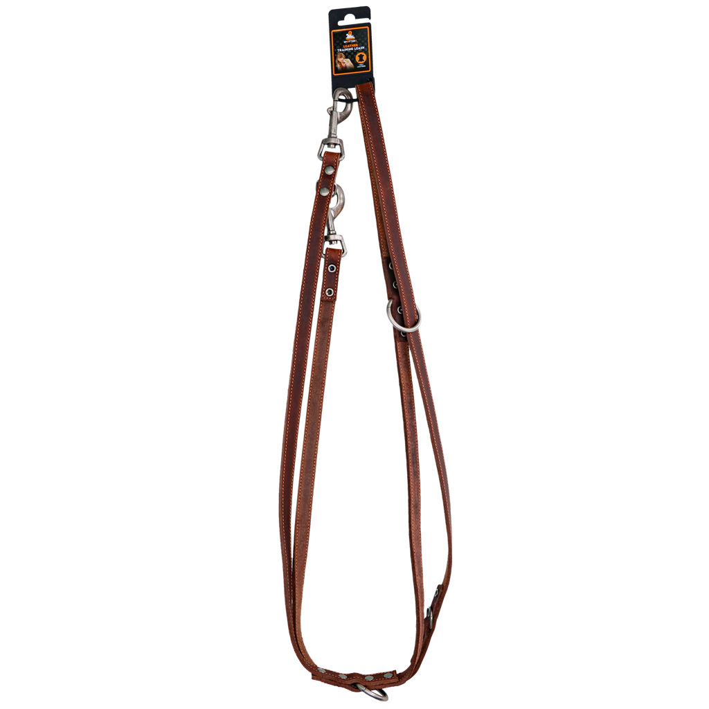 Spotted! Pro Leder Trainingsleine Braun 1,6 x 250 cm