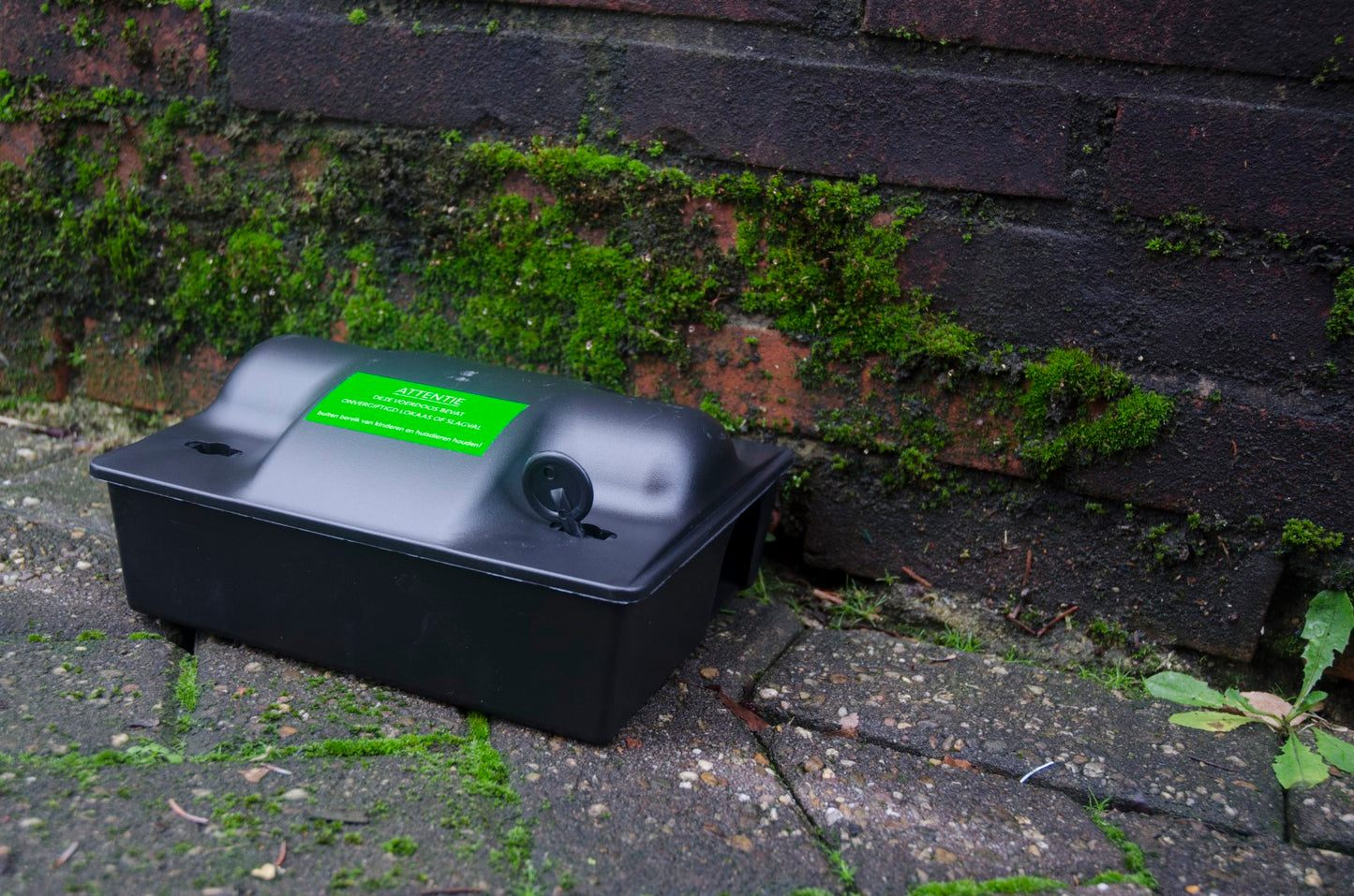 Sticker Ungiftig / Falle