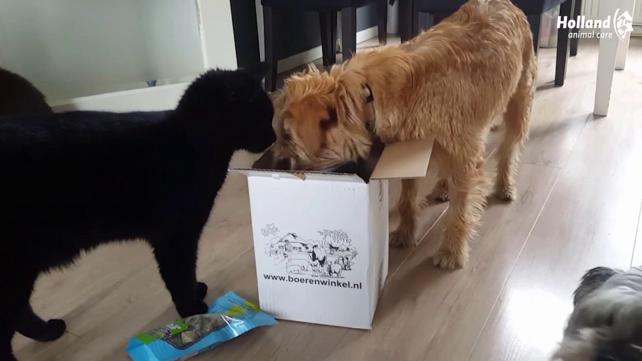 Braaaf Rawhide Twister Huhn (3 St.) - 25 cm