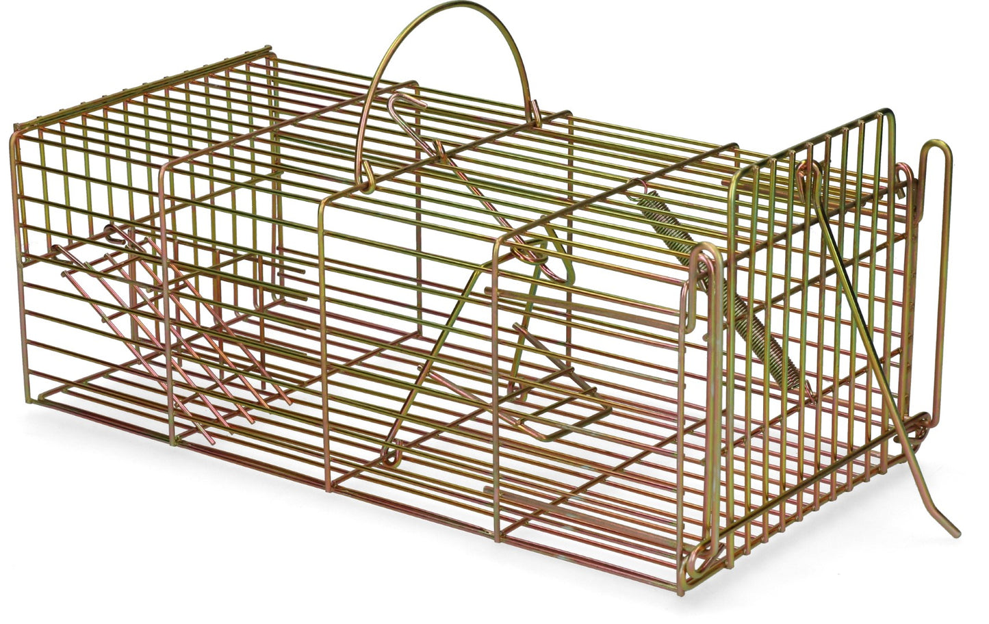 Lebendfalle Ratte zur Multi Fang