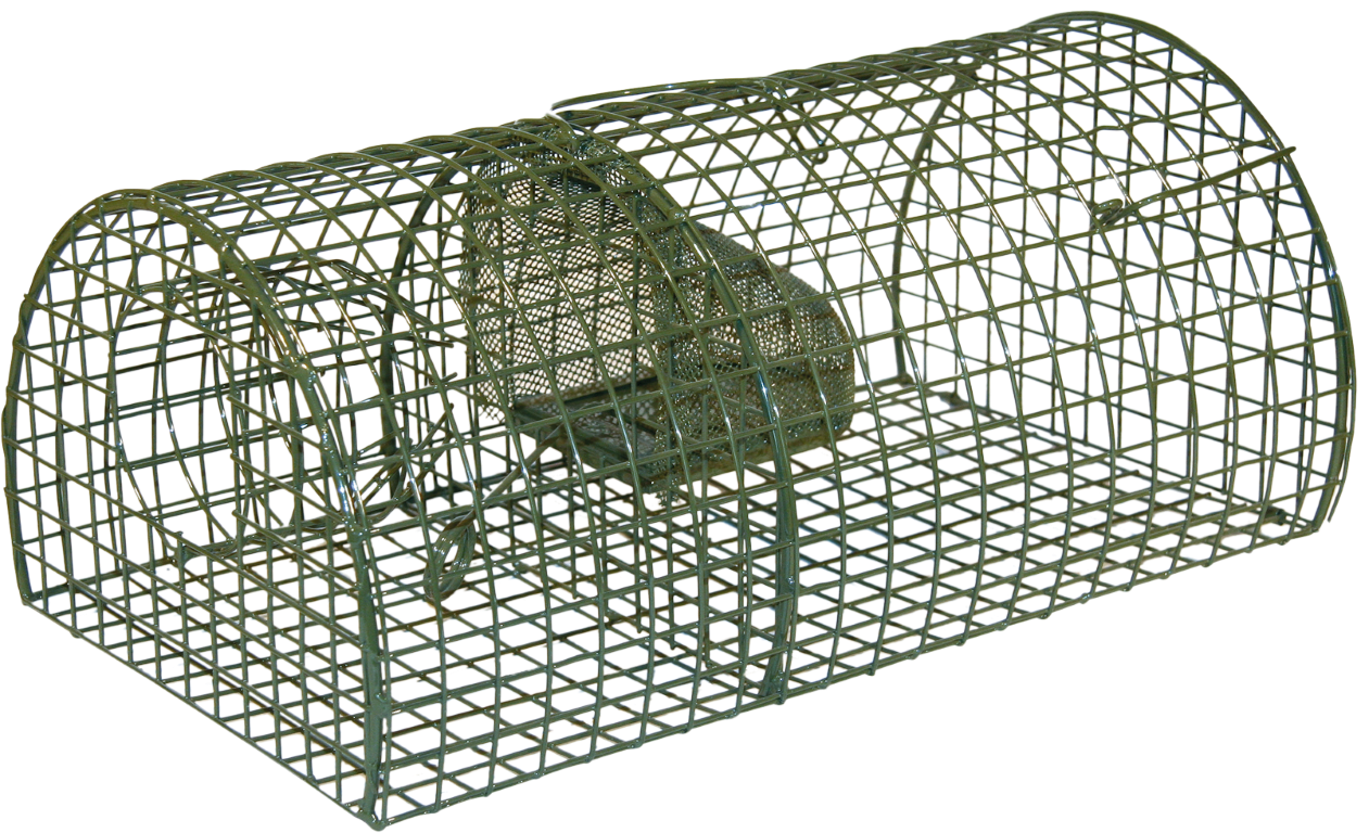 Drahtkäfig Rattenfalle Alive Massa