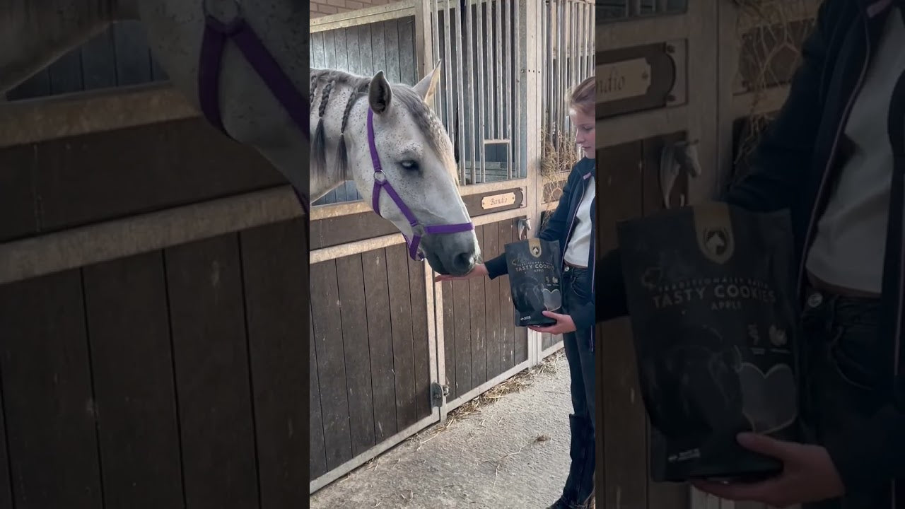 Excellent Horse Handgemachte Pferdekekse Apfel