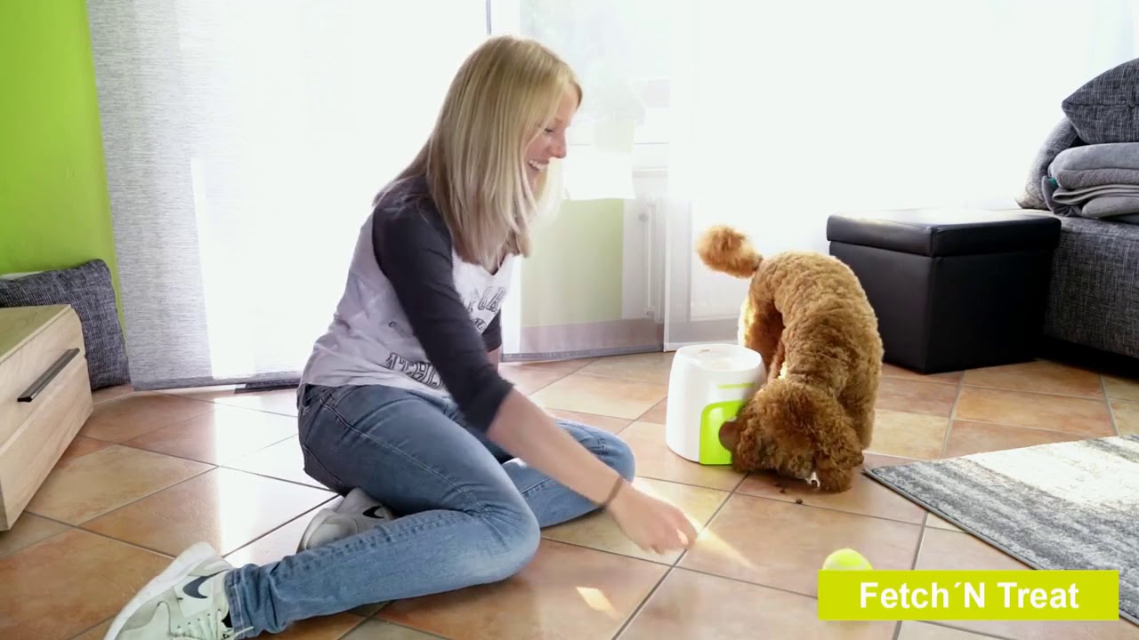 AFP Interactives Fetch'N'Treat 2nd Generation by Hoffreund