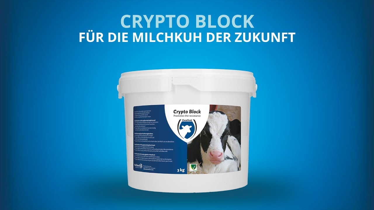 Excellent Crypto Block 4,8 kg