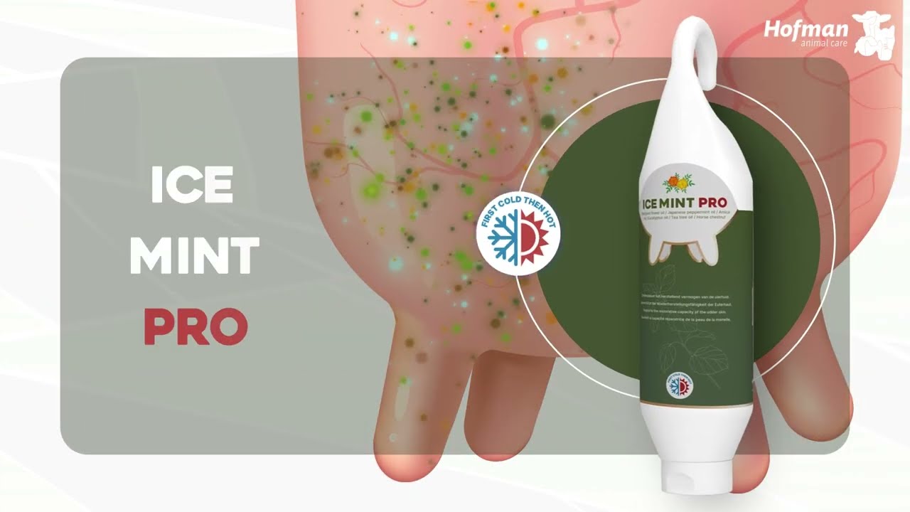 Ice Mint Pro Gel Steh- u. Hängeflasche 1 l