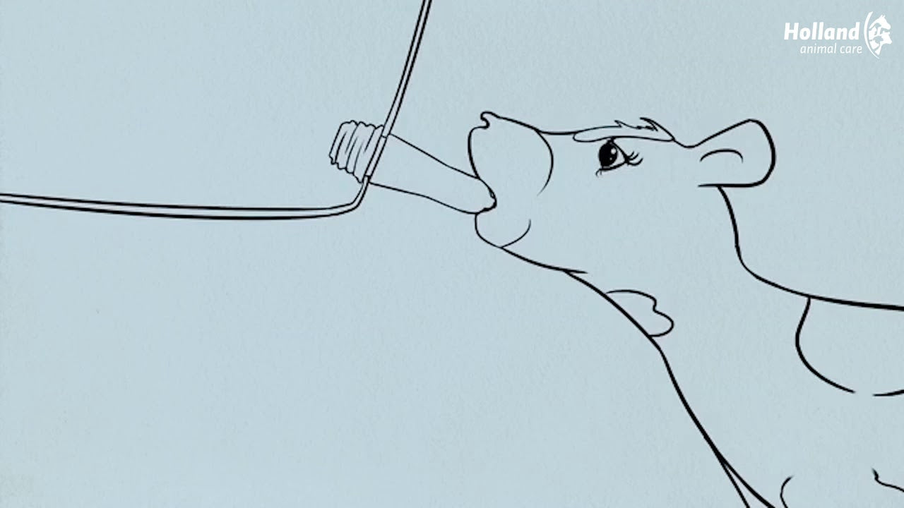 Kälbereimer Sauger 100 mm Peach Teats