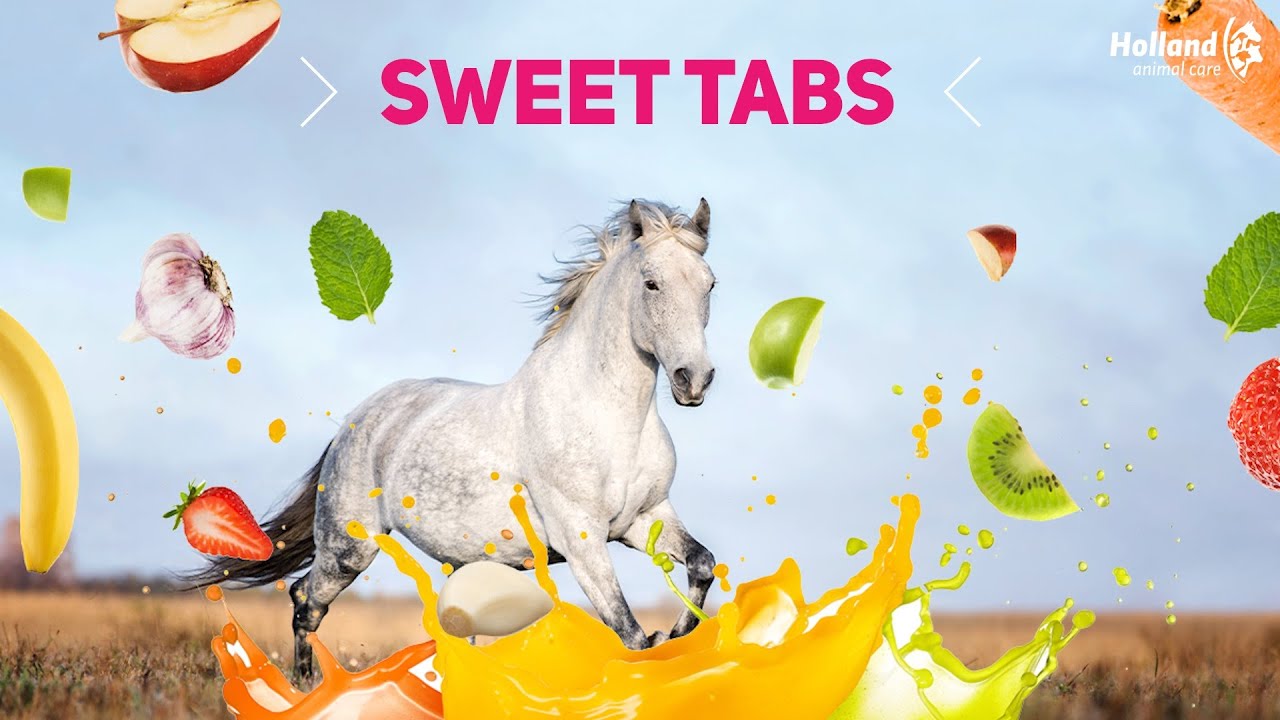 Excellent Sweet Tabs Karotte 14 St.