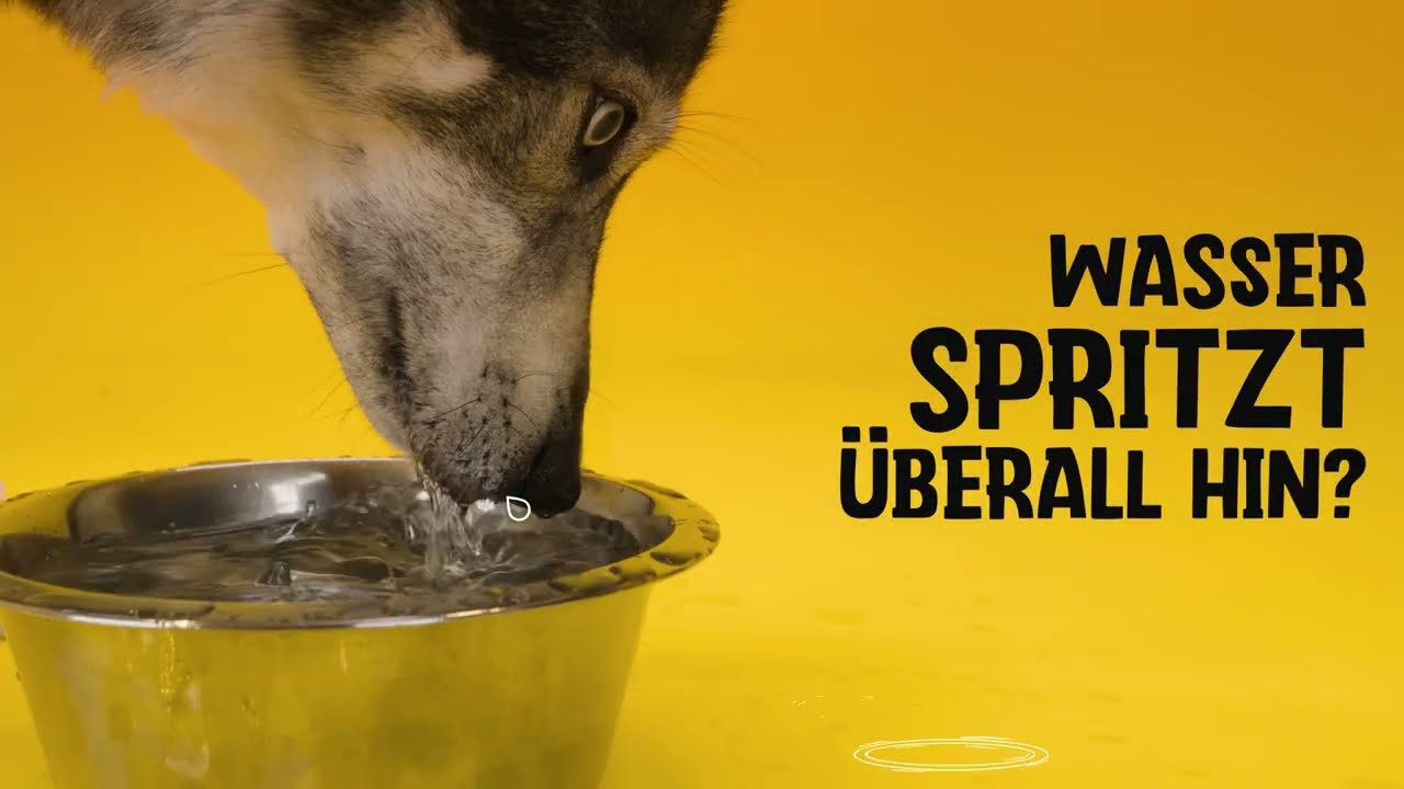 Excellent Pets No-Spill Bowl 800ml Blau M