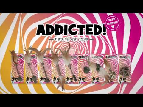 Addicted! Mice with Feathers