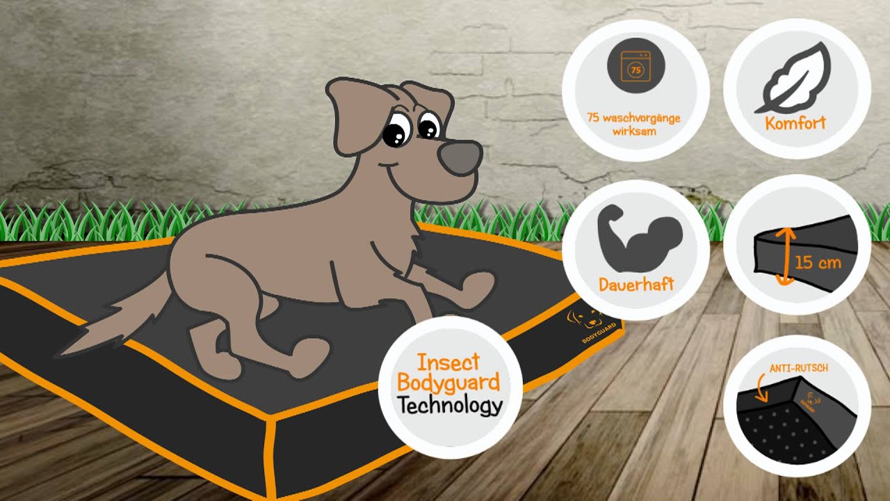 Bodyguard Sofa Bed Grau S