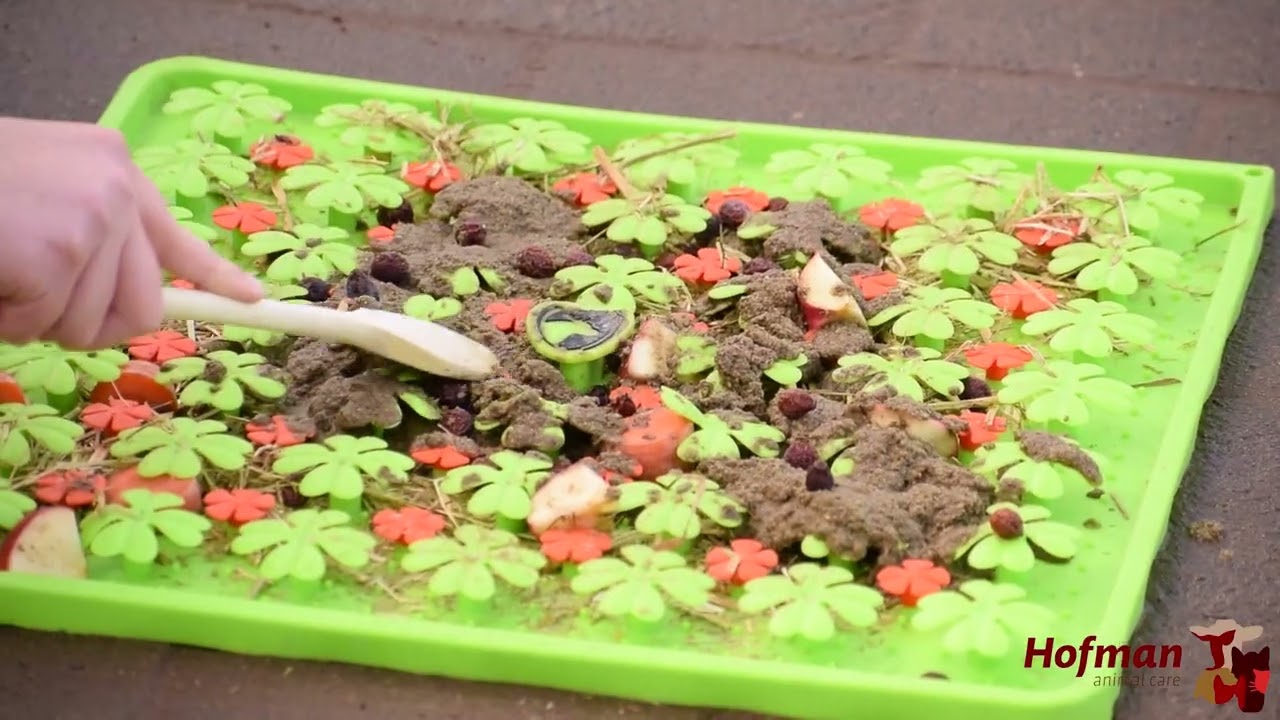 Excellent Horse Schnüffelmatte