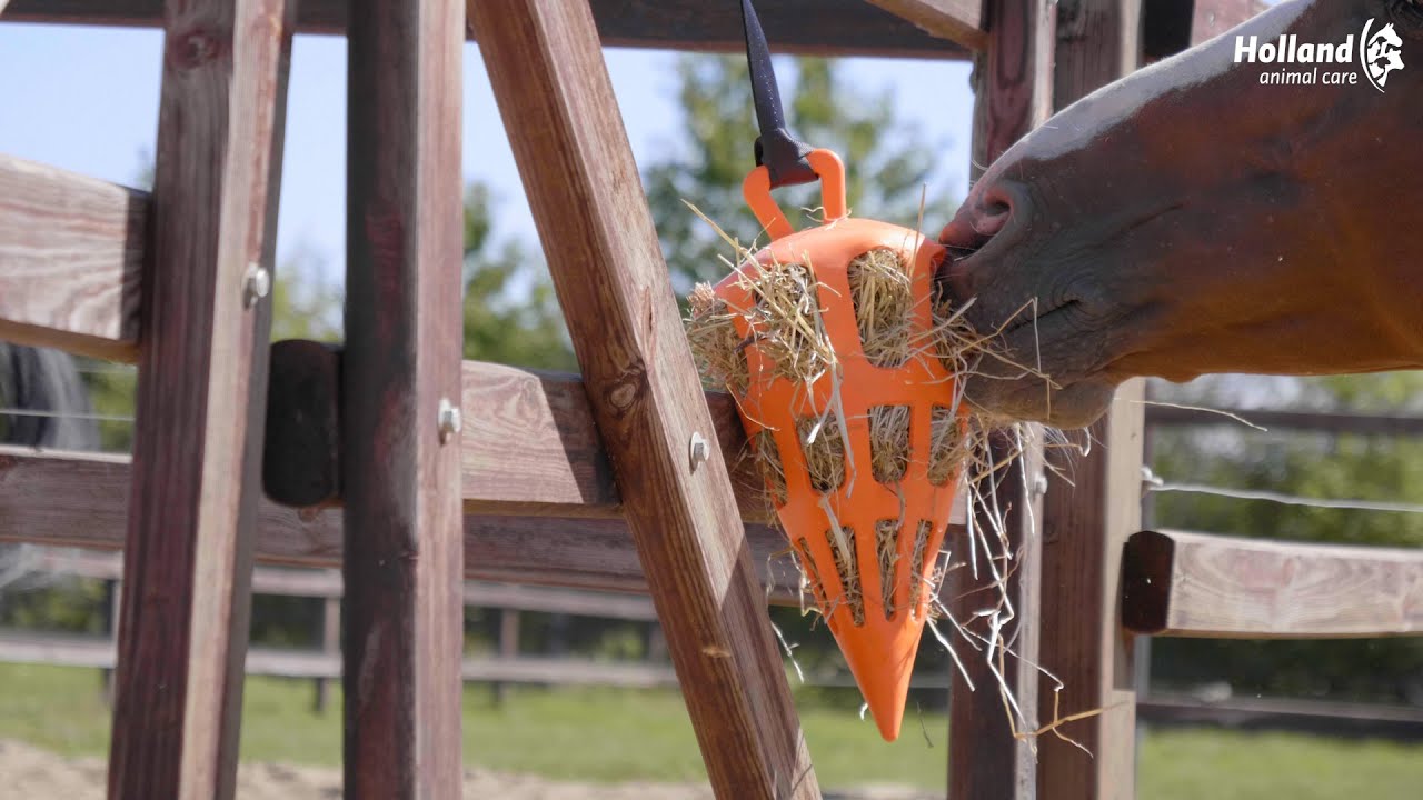 Hay Slow Feeder Fun & Flex Carrot Rosa