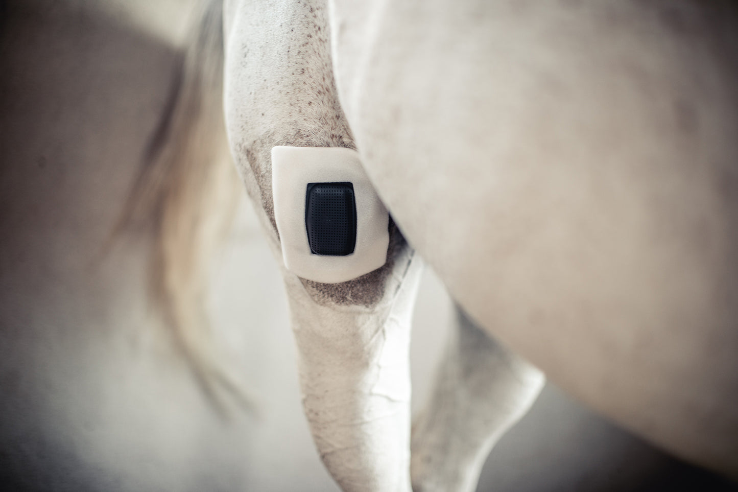 Rheva Kombo Wundschutz