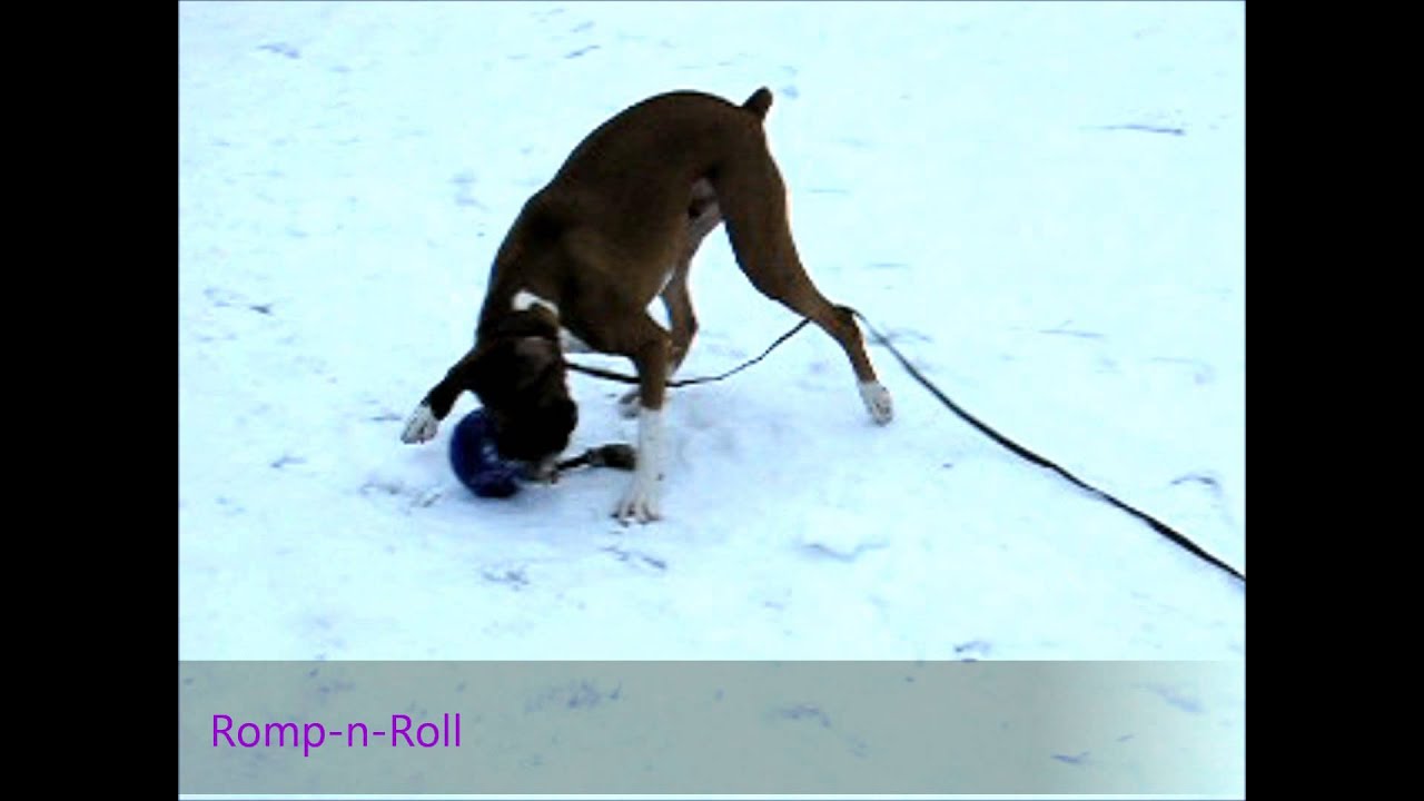 Jolly Romp-n-Roll Rot L (20 cm)