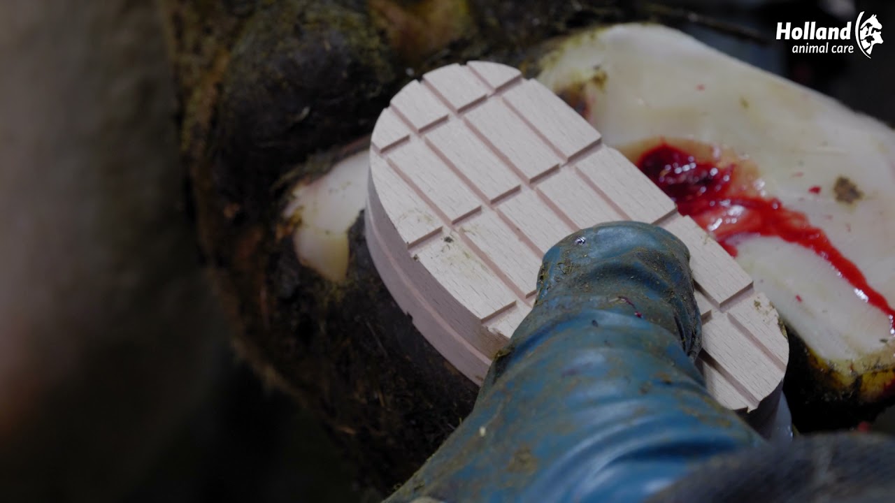 Excellent Easy Hoof Block Holz - 13 cm