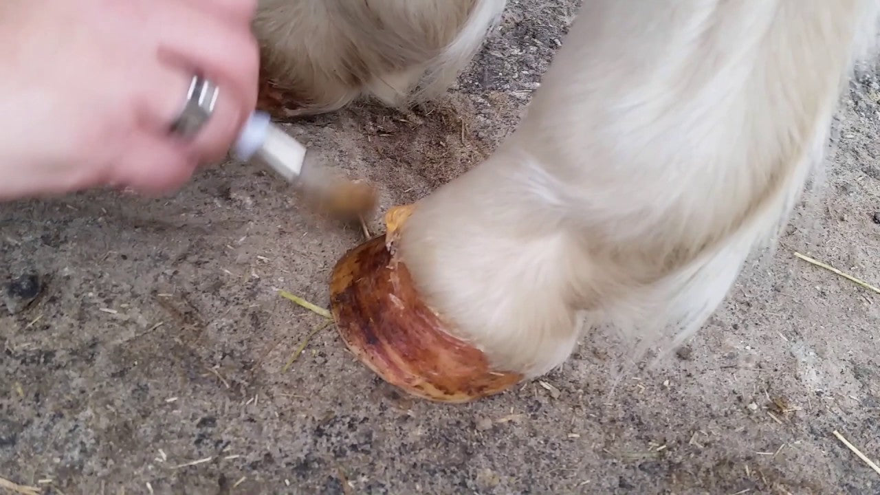 Excellent Horse Hoof Oil Gel 800 g