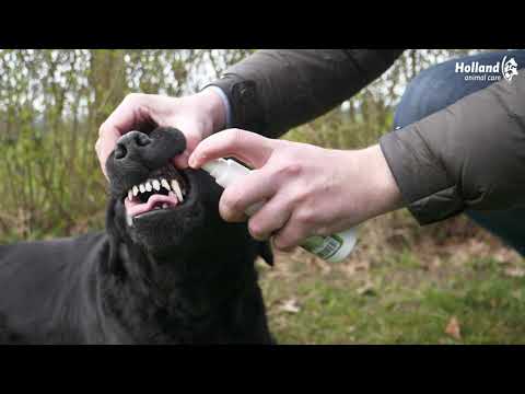 Excellent Pets Dental Oral Spray 150 ml