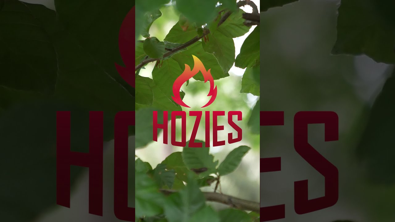 Hozies Nelly Niles M