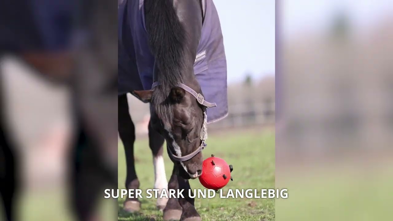 Excellent Horse Fun Play Ball Blau