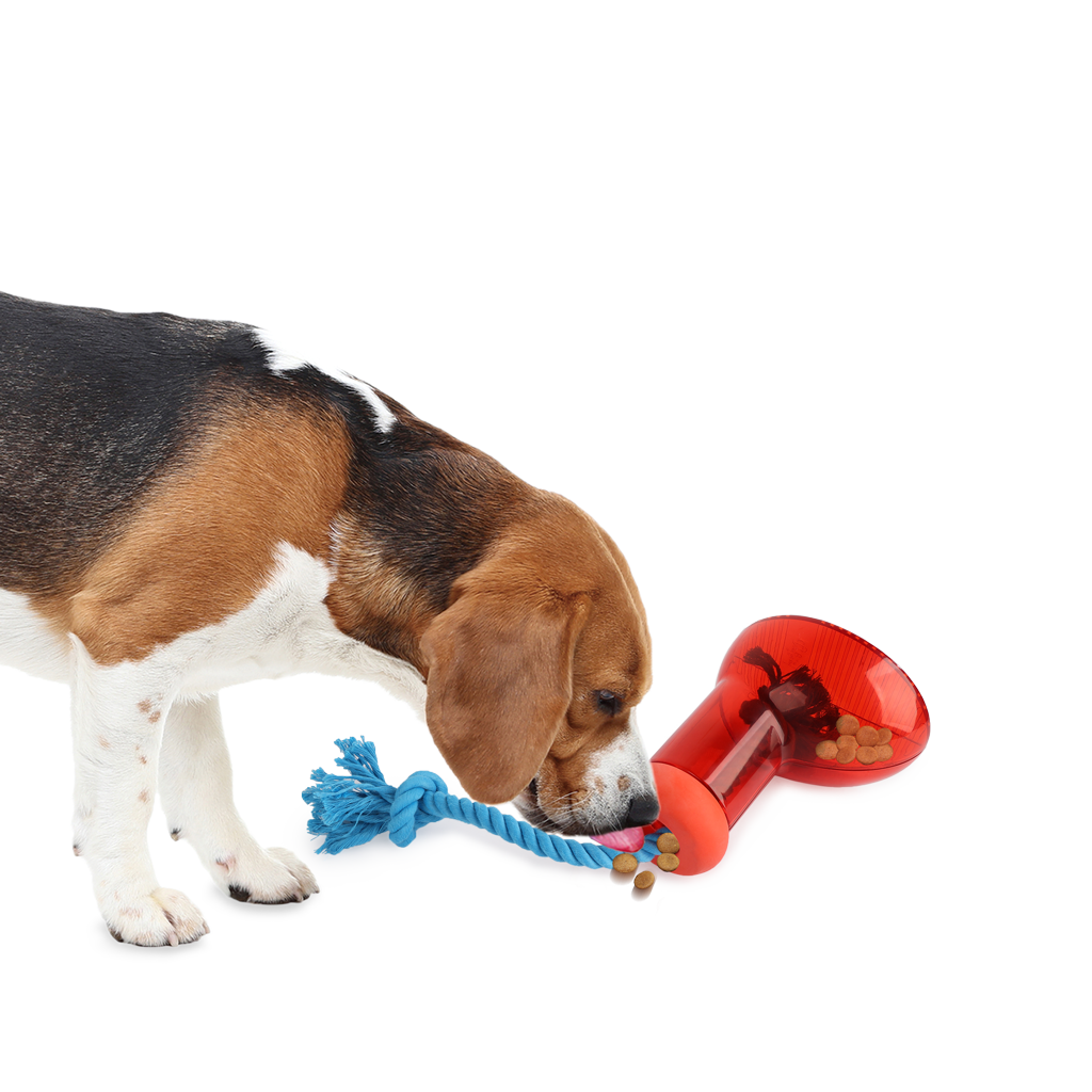 AFP Doggies' Shoes Big Boot Dispenser L