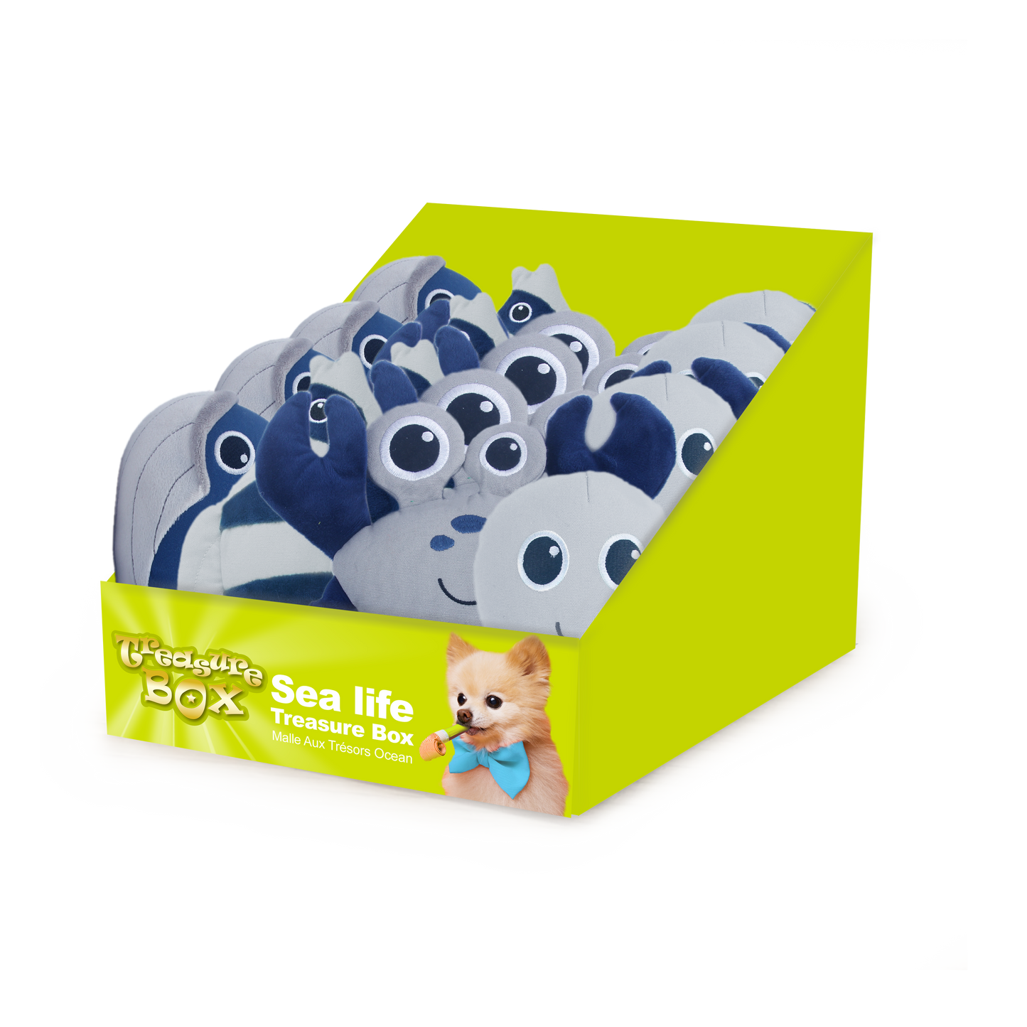 AFP Treasure Box Sea Life