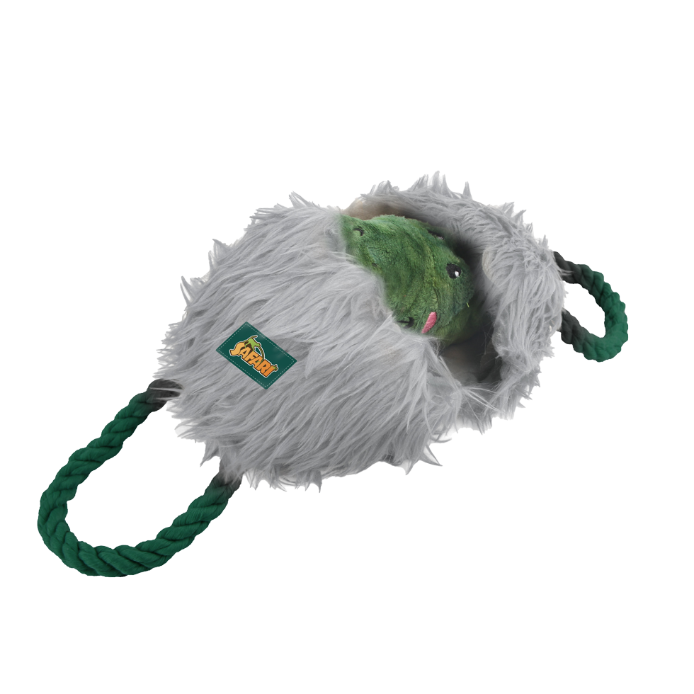 AFP Safari - Leave me Alone Alligator