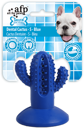 AFP Dental Chews - Dental Cactus S Blau