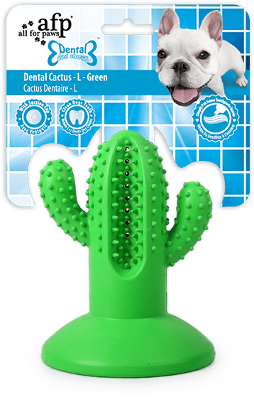 AFP Dental Chews - Dental Cactus L Grün